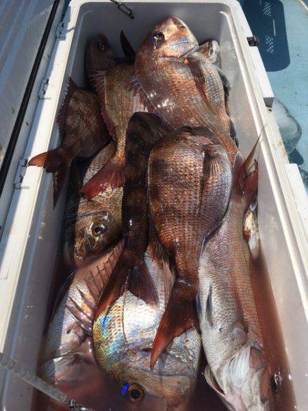 第二八坂丸 釣果