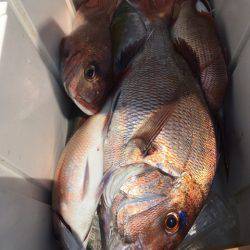 第二八坂丸 釣果