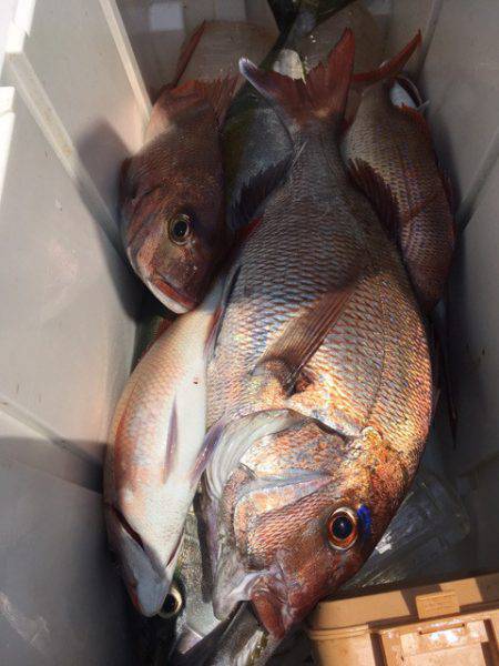 第二八坂丸 釣果