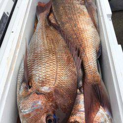 第二八坂丸 釣果