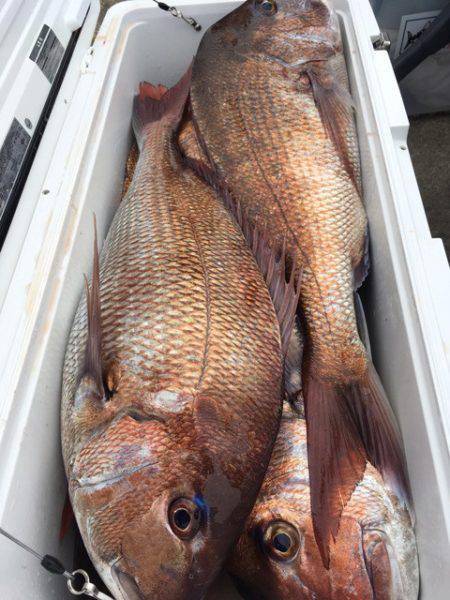 第二八坂丸 釣果