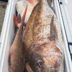 第二八坂丸 釣果