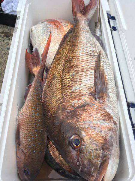 第二八坂丸 釣果