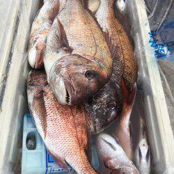 第二八坂丸 釣果