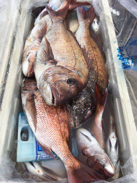 第二八坂丸 釣果