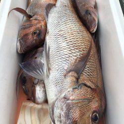 第二八坂丸 釣果