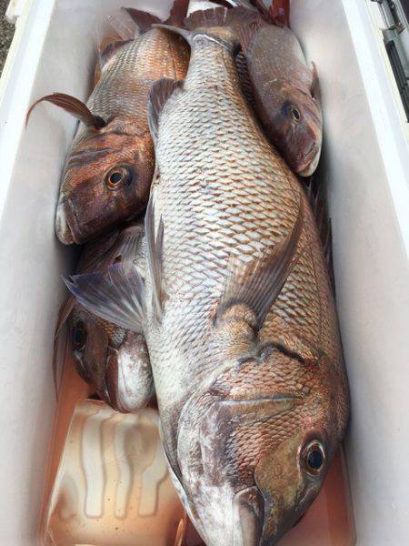 第二八坂丸 釣果