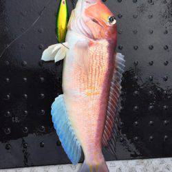 第二龍勢丸 釣果