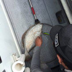 第二龍勢丸 釣果