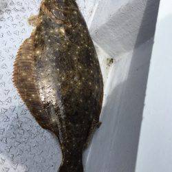 第二龍勢丸 釣果