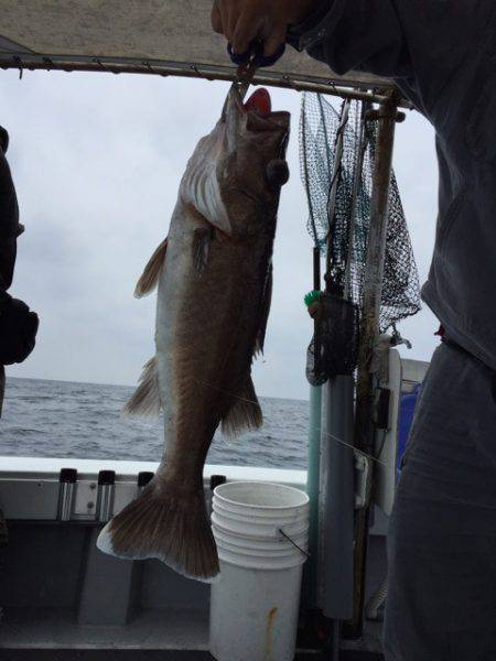 第二龍勢丸 釣果