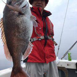 エヌスタイル 釣果