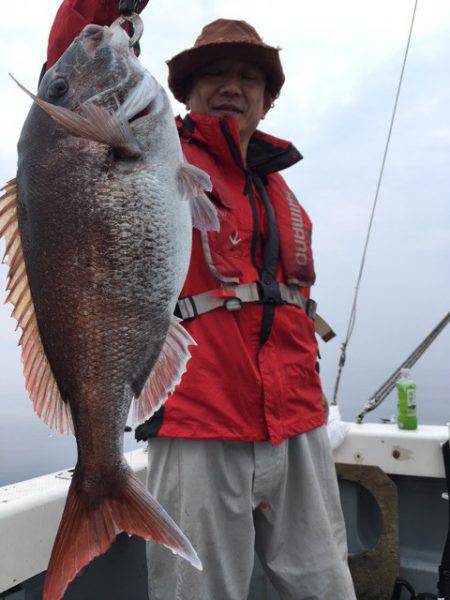 エヌスタイル 釣果