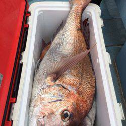 第二八坂丸 釣果