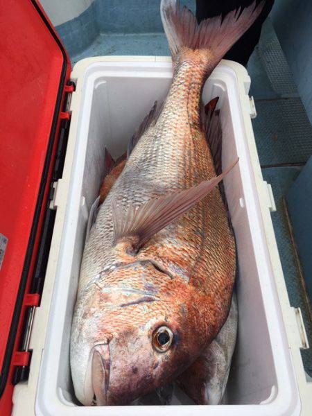 第二八坂丸 釣果