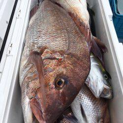 第二八坂丸 釣果