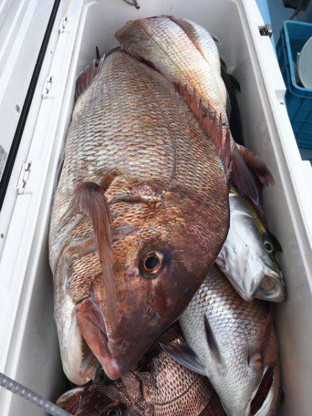 第二八坂丸 釣果