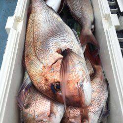 第二八坂丸 釣果