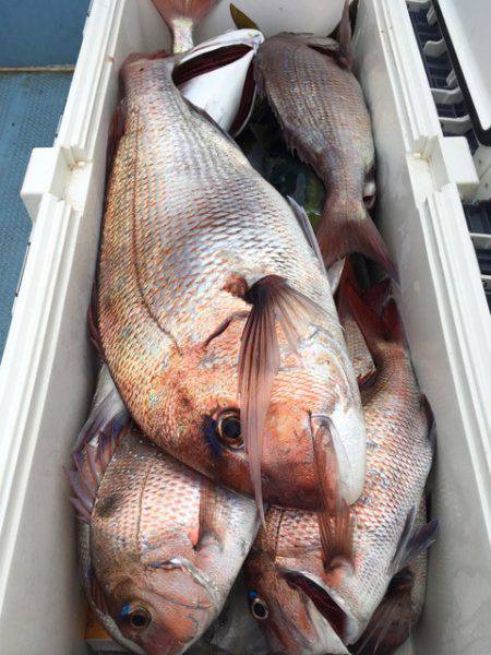 第二八坂丸 釣果