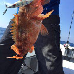 第二龍勢丸 釣果