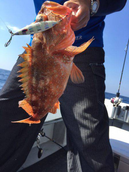 第二龍勢丸 釣果