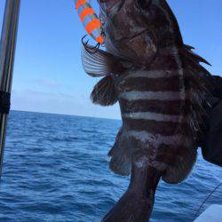 第二龍勢丸 釣果