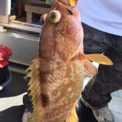 第二龍勢丸 釣果