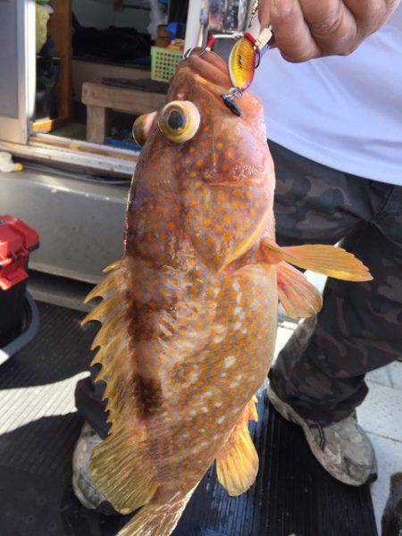 第二龍勢丸 釣果