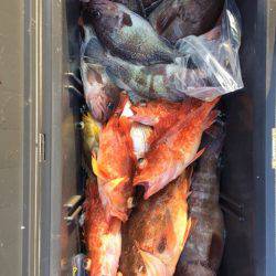 第二龍勢丸 釣果