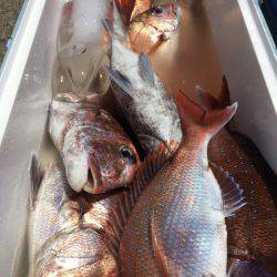 第二八坂丸 釣果