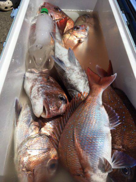 第二八坂丸 釣果