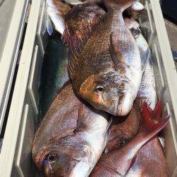 第二八坂丸 釣果