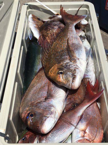 第二八坂丸 釣果