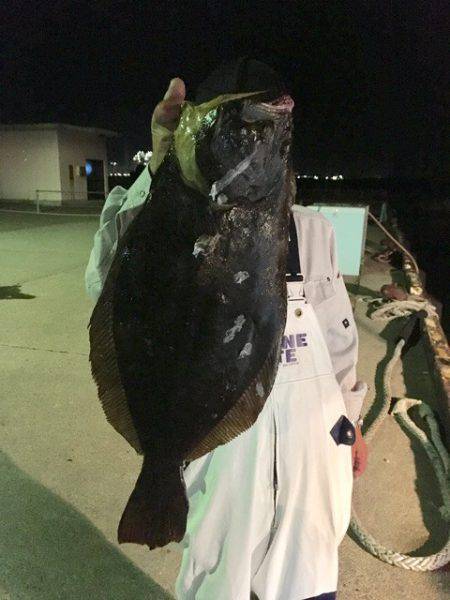 第二八坂丸 釣果