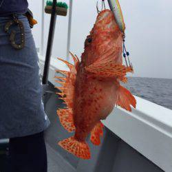 第二龍勢丸 釣果