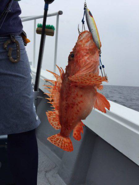 第二龍勢丸 釣果