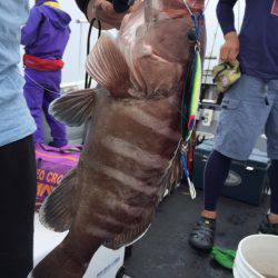 第二龍勢丸 釣果