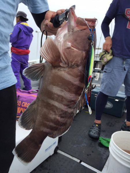 第二龍勢丸 釣果