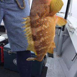 第二龍勢丸 釣果