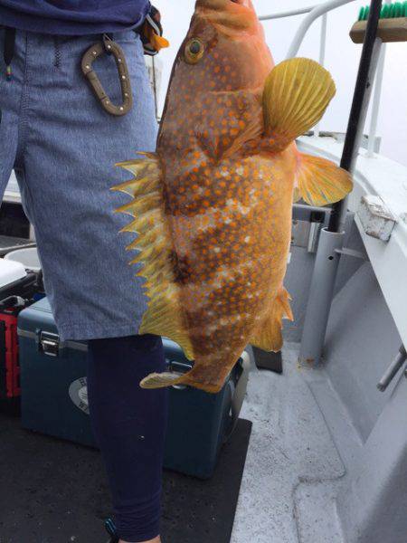 第二龍勢丸 釣果