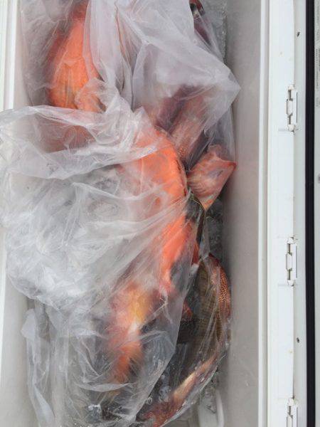 第二龍勢丸 釣果