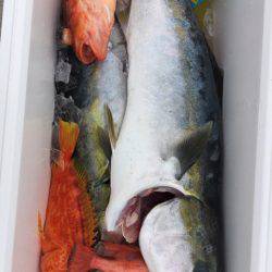 第二龍勢丸 釣果