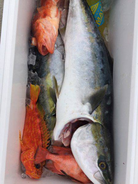 第二龍勢丸 釣果