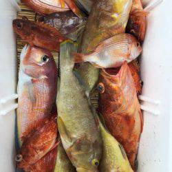 第二龍勢丸 釣果