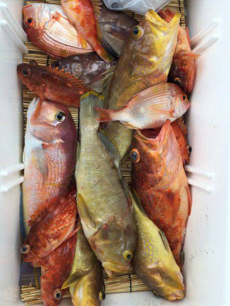 第二龍勢丸 釣果