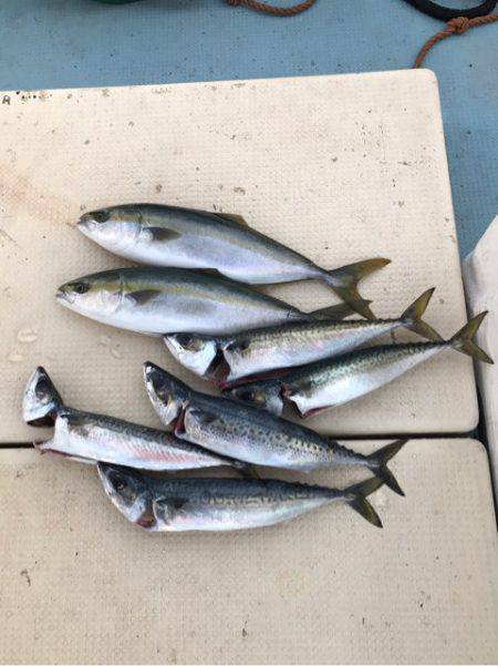 Monster Rush! 釣果