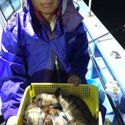 ヤザワ渡船 釣果