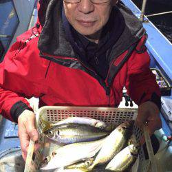 ヤザワ渡船 釣果