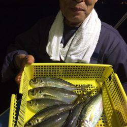 ヤザワ渡船 釣果