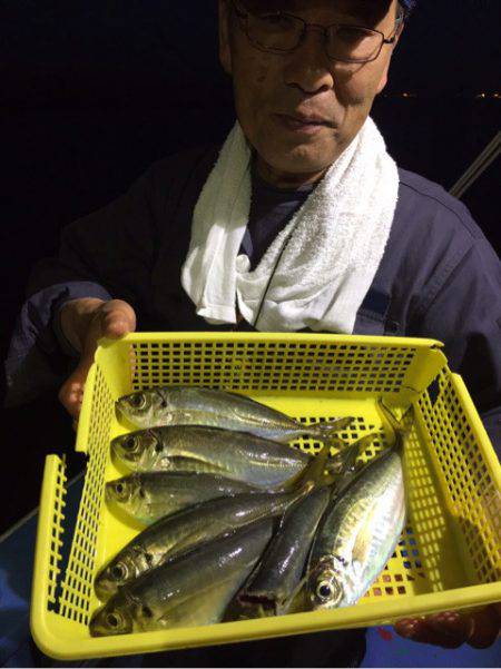 ヤザワ渡船 釣果